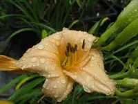 003_1024x768.webp
