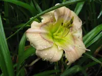 004_1024x768.webp
