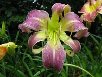 005_1024x768.webp