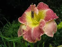 006_1024x768.webp