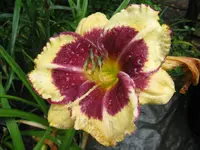 007_1024x768.webp