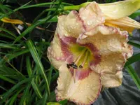 009_1024x768.webp