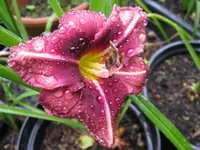 013_1024x768.webp
