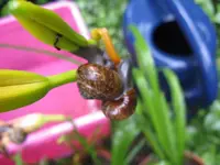 012_1024x768.webp