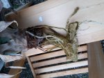 20160728_195111.jpg