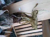 20160728_195111.webp