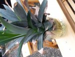 20160728_195144.jpg