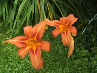 BILD5350.webp