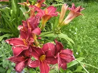 BILD5356.webp