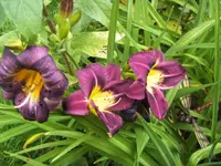 BILD5399.webp