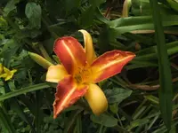 BILD5365.webp