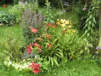 BILD5382.webp