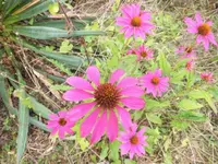DSCI0030 (1).webp