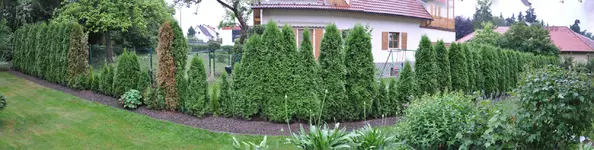 Panorama Thujen.webp