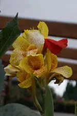 _DSC0849.webp