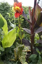 _DSC0857.webp