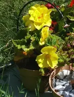 KnollbegHydro.webp KnollbegHydro.webp