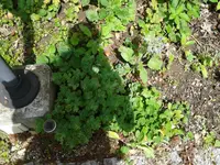 20160729_125134.webp