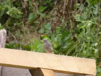 P1220017.webp