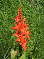 BILD5366.webp