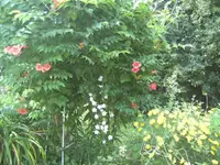 BILD5422.webp
