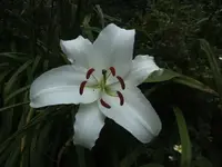 BILD5426.webp