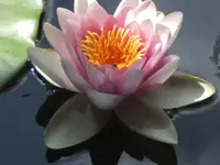 BILD5432.webp