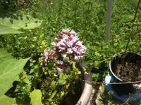 BILD5453.webp