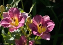 IMG_5098-2.webp