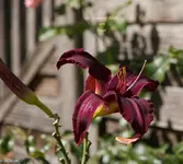 IMG_5117-2.webp