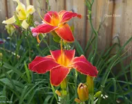 IMG_5041.webp