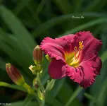 IMG_5042.webp