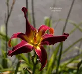 IMG_5066-2.webp