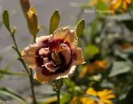 IMG_5067-2.webp