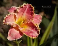 IMG_5076-2.webp
