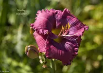 IMG_5081-2.webp