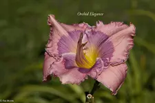 IMG_5085-2.webp
