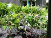 008_1024x768.webp