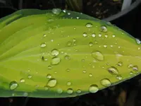 009_1024x768.webp
