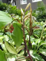 010_576x768.webp