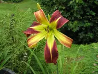 001_1024x768.webp