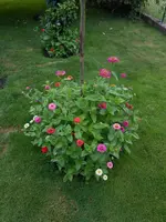 DSCN4335.jpg