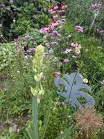 DSCN4331.jpg