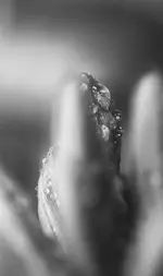 _MG_3037.webp