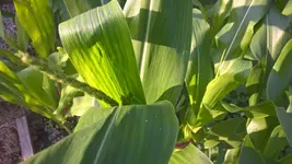 WP_20160729_20_04_03_Pro.webp WP_20160729_20_04_03_Pro.webp