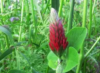 nbknnt16 (3).webp