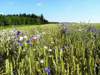 DSCF2626 (2).webp