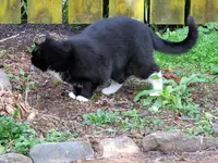 IMG_3190 v (1).webp