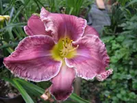 on the brink_1024x768.webp