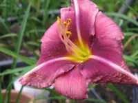 011_1024x768.webp